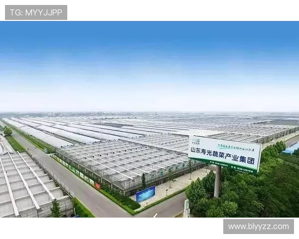 寿光企业家创新发展之路：推动农业现代化与绿色经济融合共赢